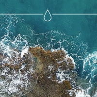 <a href="https://www.uu.nl/utrecht-centre-for-water-oceans-and-sustainability-law">Universiteit Utrecht</a>